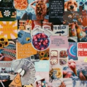 Meet your Posher, Averi